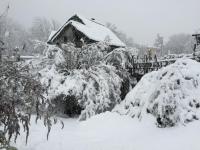 Der grosse Schnee