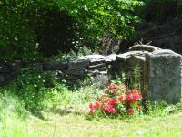 Garten Casa Martinelli